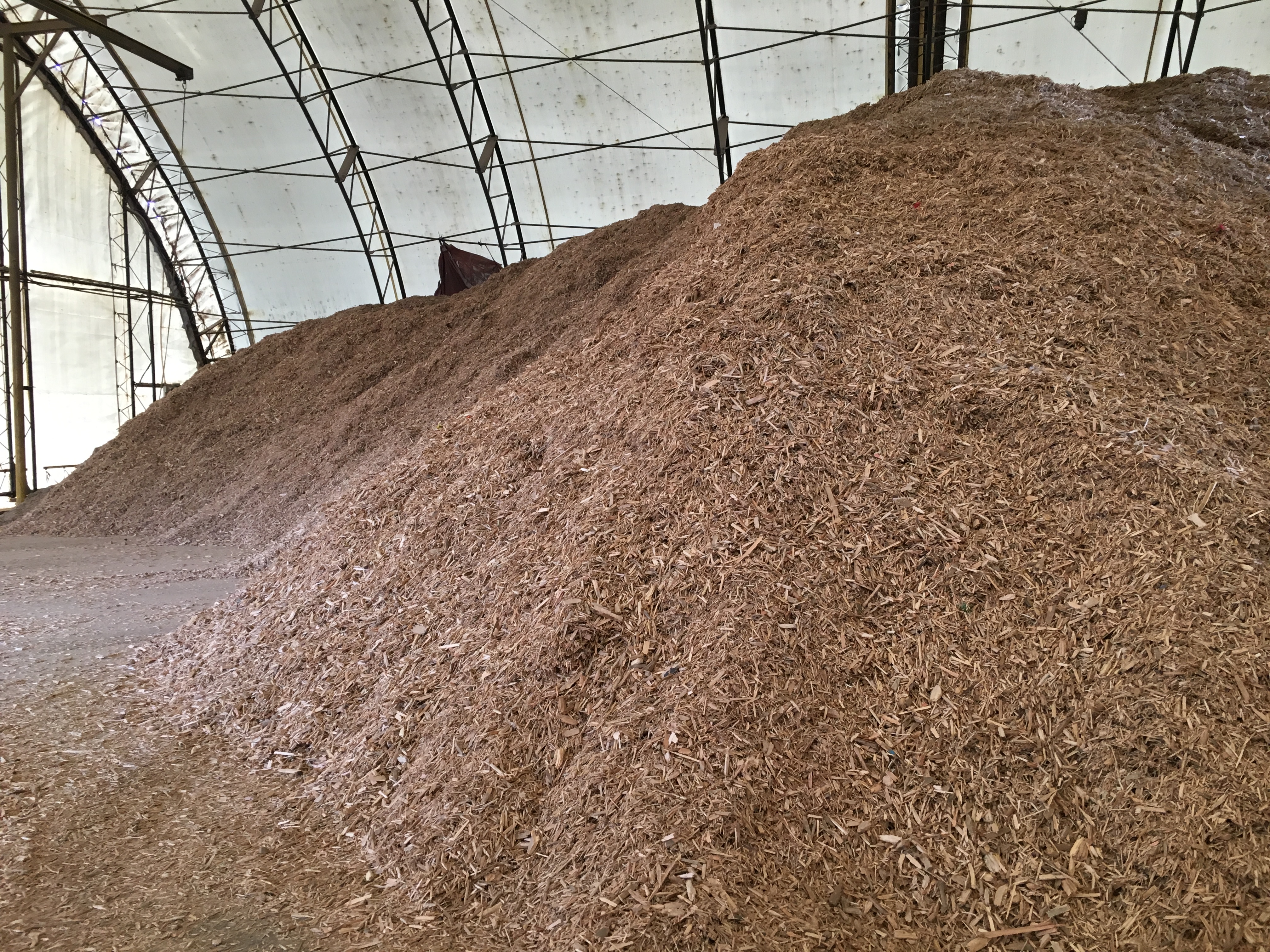 Mountain of Wood chips